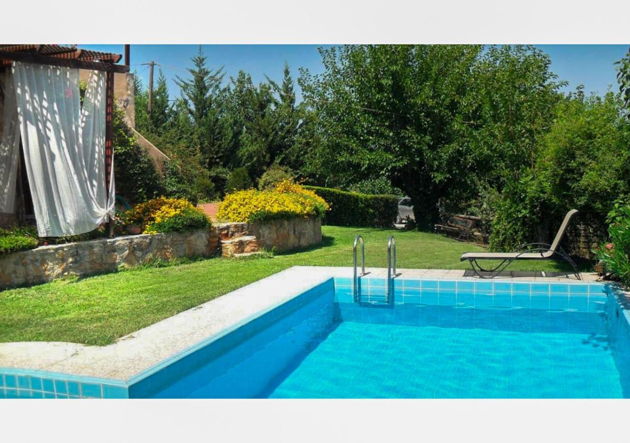 Villa Skine With Private Pool And Garden Chania  Екстер'єр фото